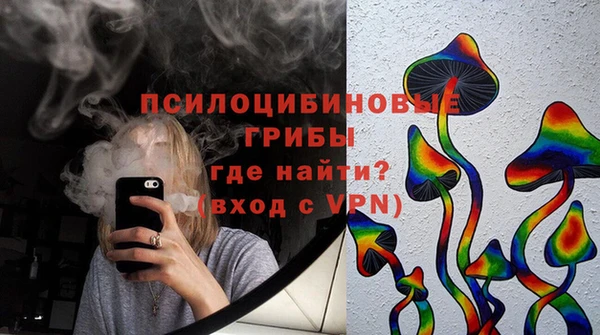 амф Касимов
