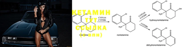 амф Касимов