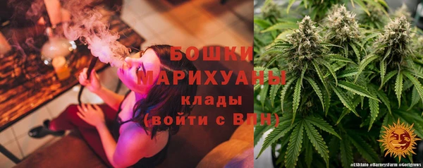 амф Касимов