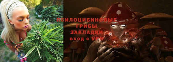 амф Касимов