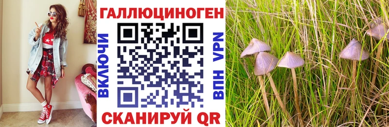 Купить закладки  Ермолино  Галлюциногенные грибы Psilocybe 